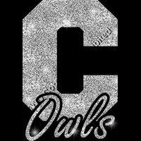 GLT61 SILVER GLITTER Thumbnail